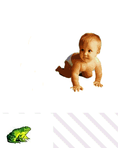 babies_frog2